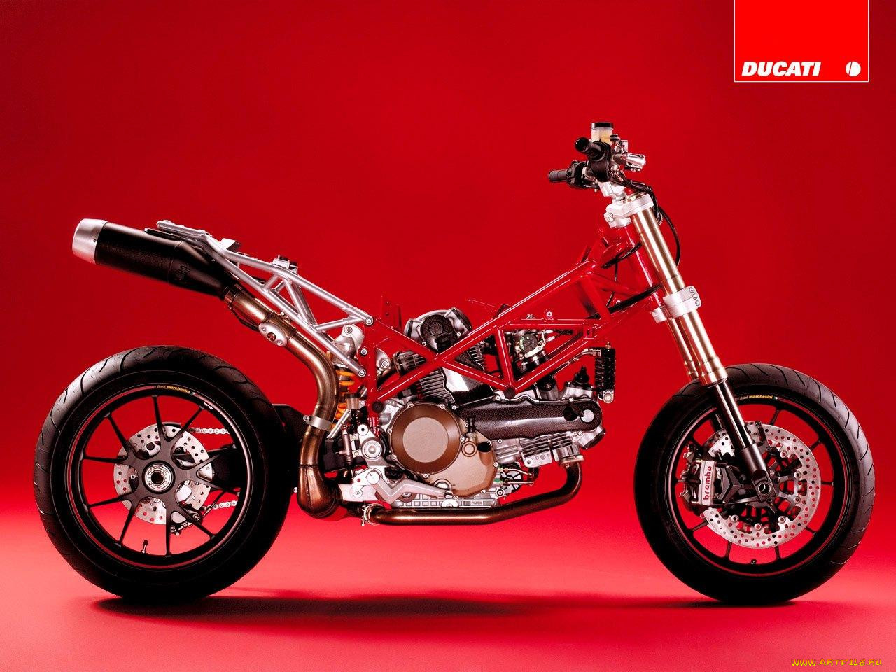 , ducati